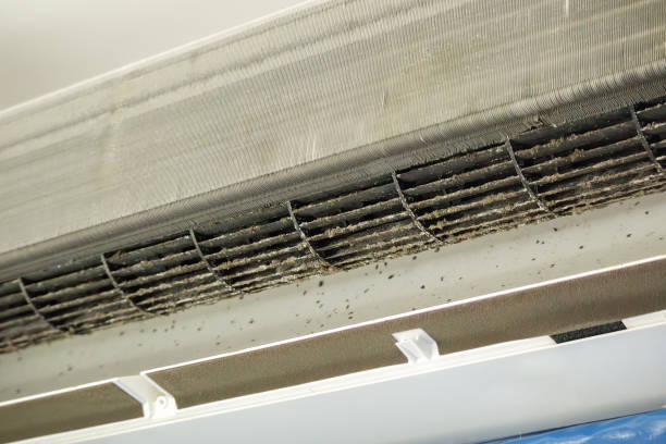 Best HVAC Air Duct Cleaning  in Golden Hills, CA